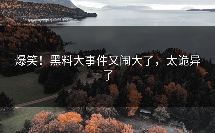 爆笑！黑料大事件又闹大了，太诡异了