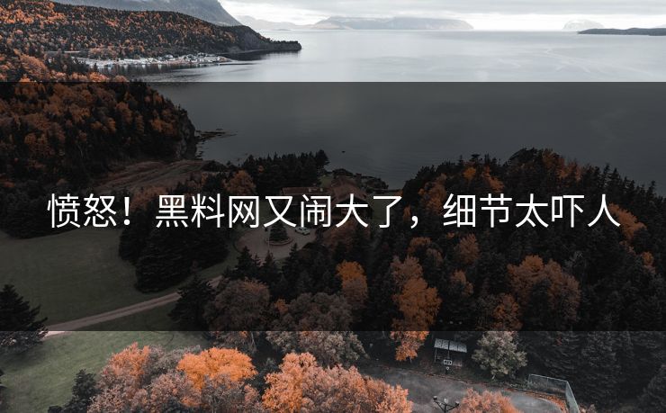 愤怒!黑料网又闹大了,细节太吓人