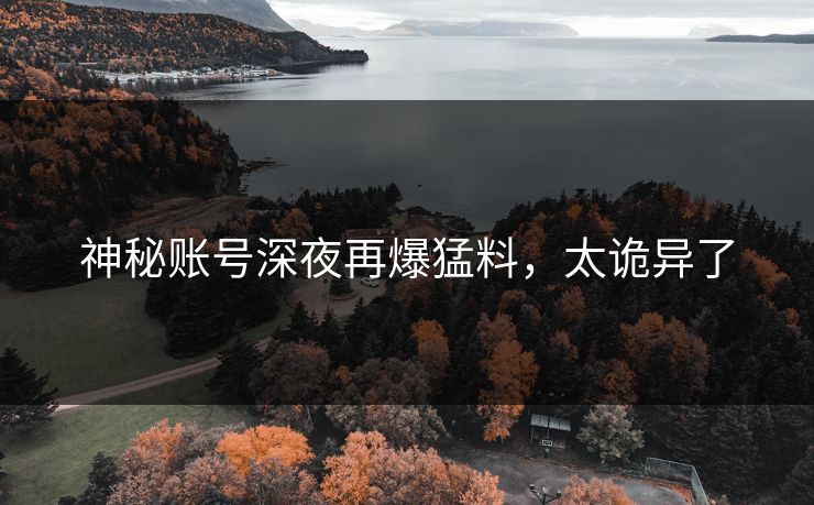 神秘账号深夜再爆猛料，太诡异了
