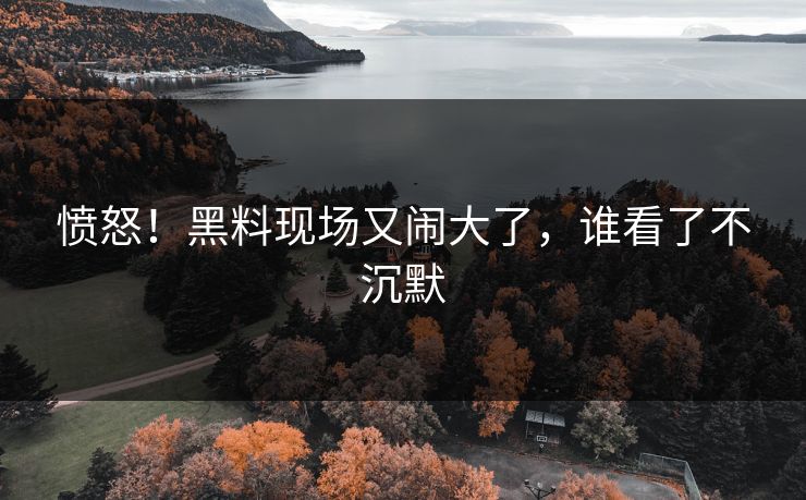 愤怒!黑料现场又闹大了,谁看了不沉默