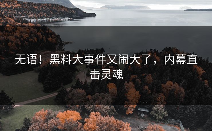 无语!黑料大事件又闹大了,内幕直击灵魂