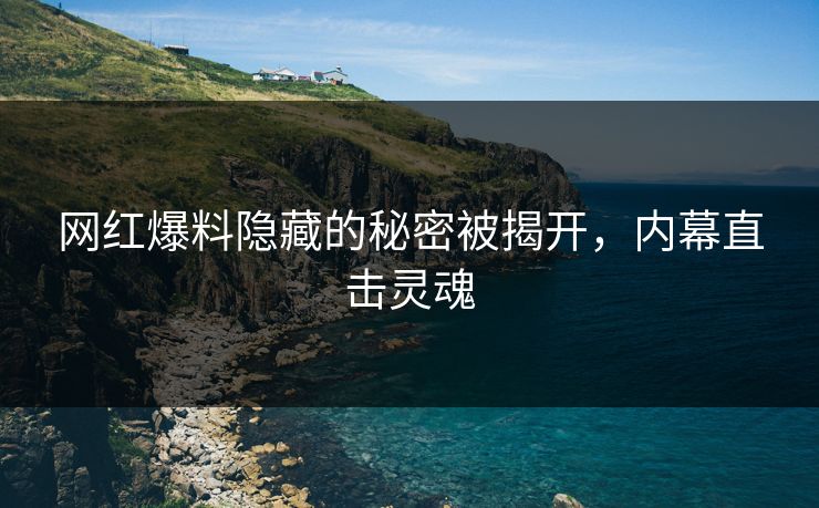 网红爆料隐藏的秘密被揭开,内幕直击灵魂