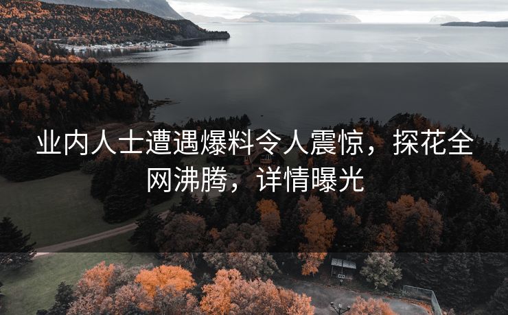 业内人士遭遇爆料令人震惊，探花全网沸腾，详情曝光