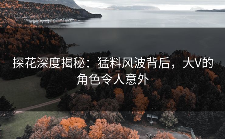探花深度揭秘：猛料风波背后，大V的角色令人意外