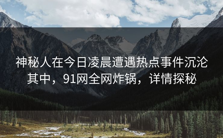 神秘人在今日凌晨遭遇热点事件沉沦其中，91网全网炸锅，详情探秘