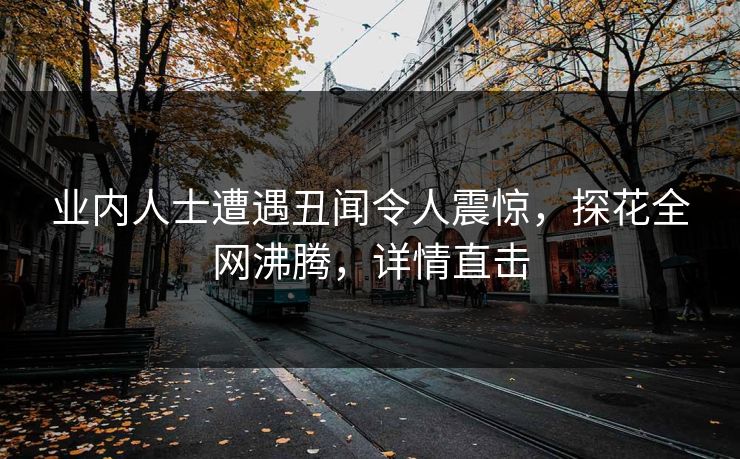业内人士遭遇丑闻令人震惊，探花全网沸腾，详情直击