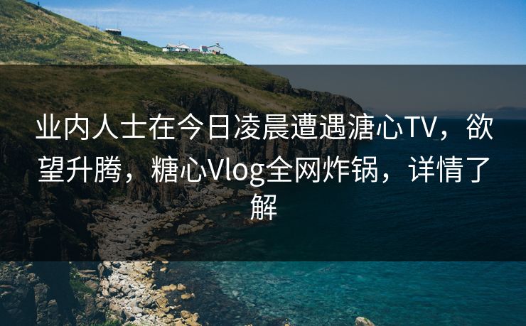 业内人士在今日凌晨遭遇溏心TV，欲望升腾，糖心Vlog全网炸锅，详情了解