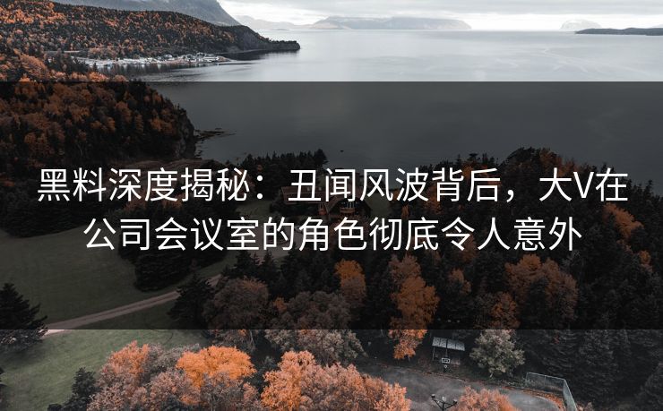黑料深度揭秘：丑闻风波背后，大V在公司会议室的角色彻底令人意外